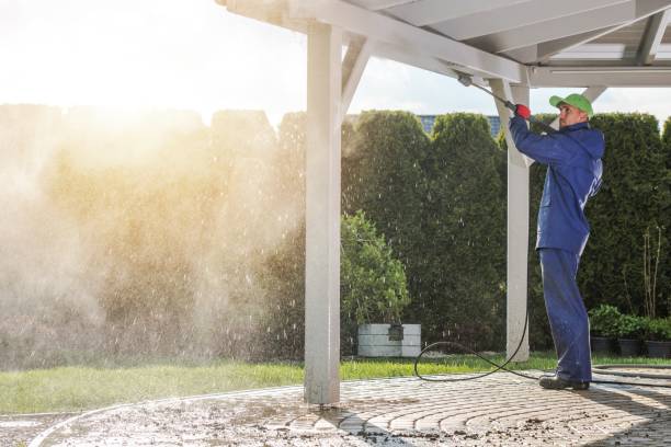 Best Fence Cleaning and Maintenance in Pearson, GA